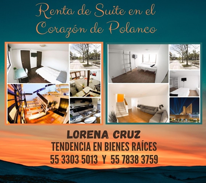 Bienes Raíces - Polanco
